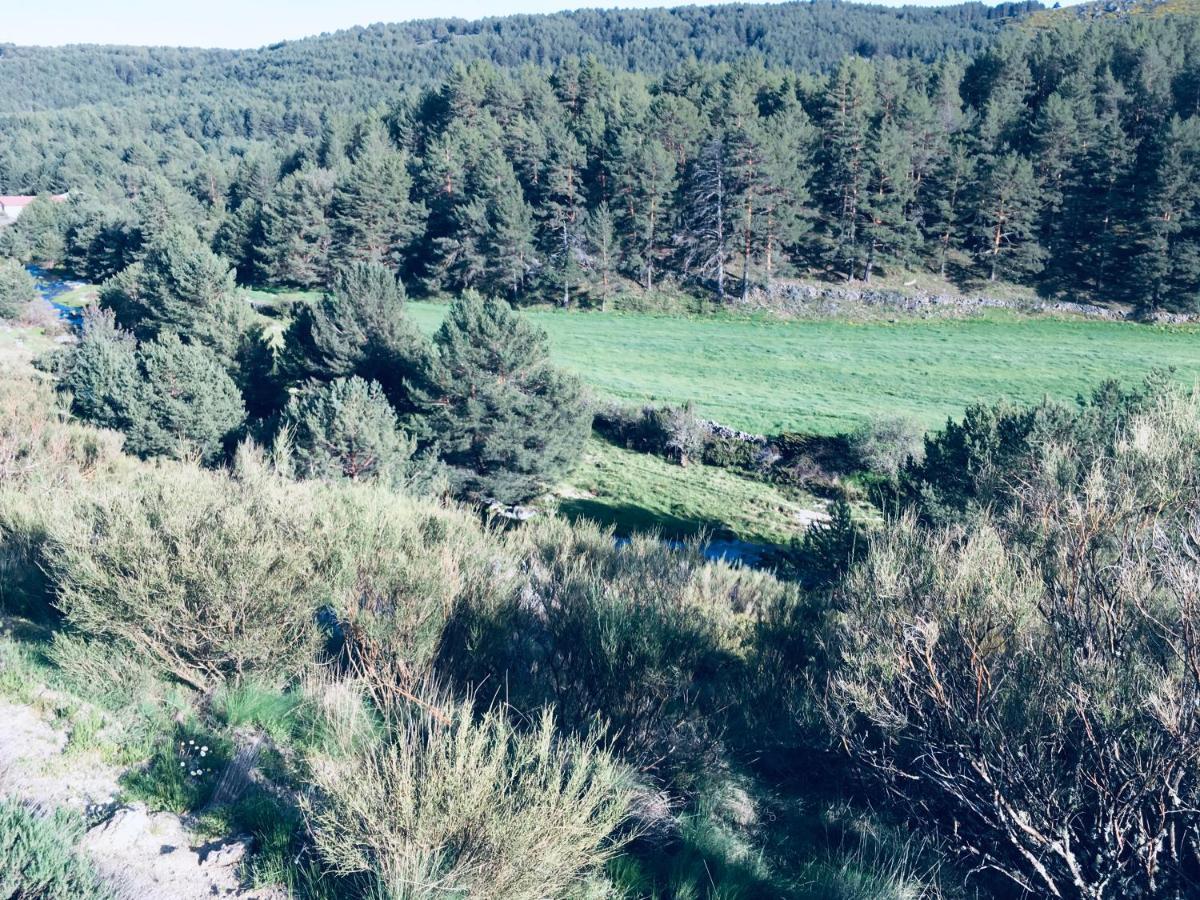 Artesano I y III Guest House Navarredonda de Gredos Eksteriør bilde